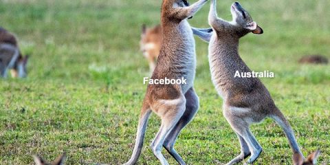 Facebook vs Australia